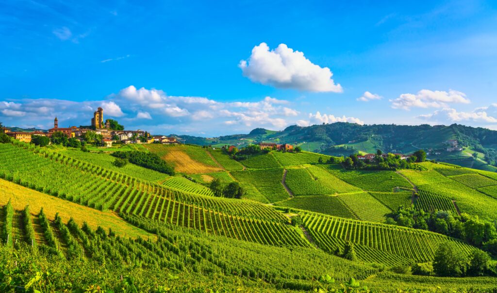 Giro nelle Langhe con pranzo 